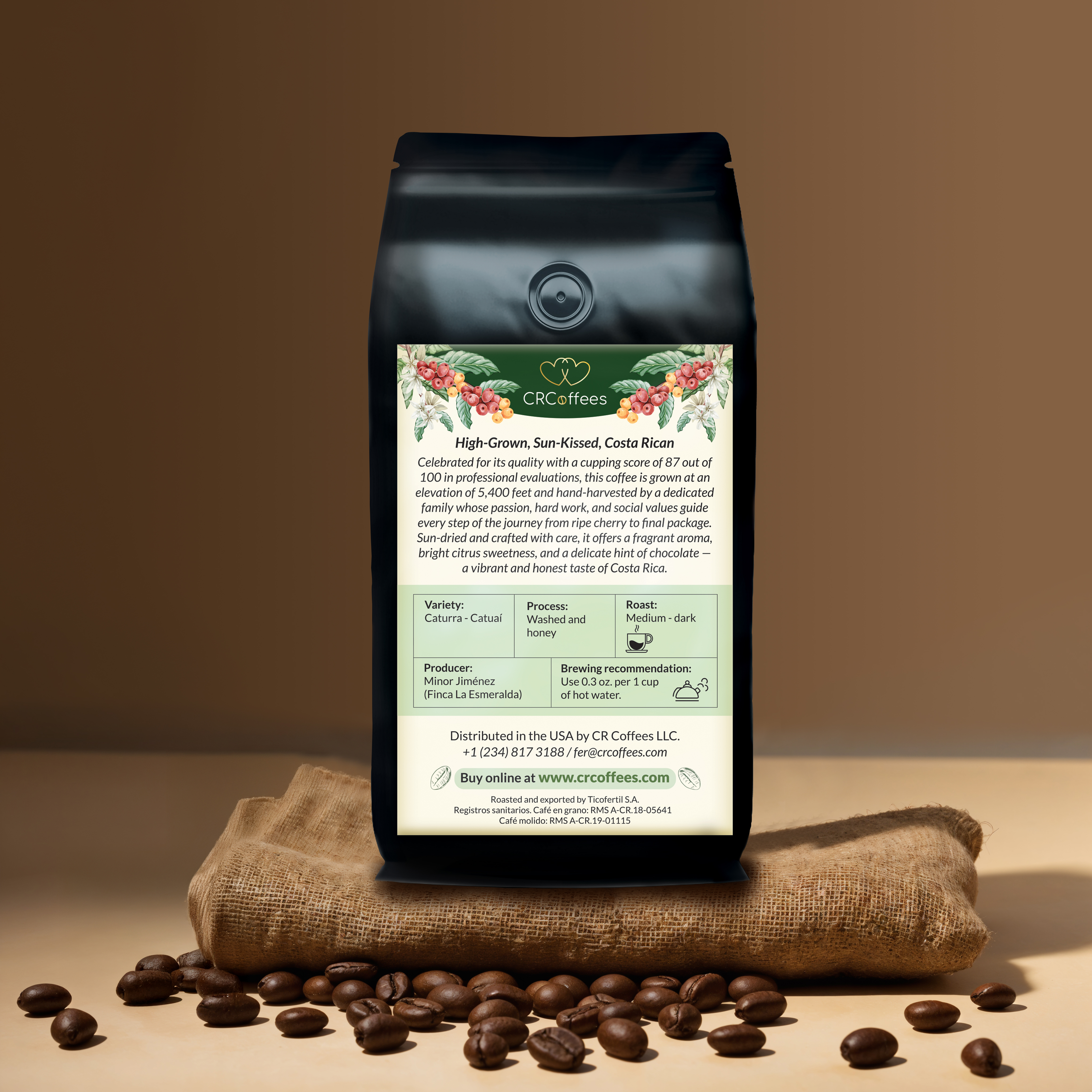 Sloth coffee back view